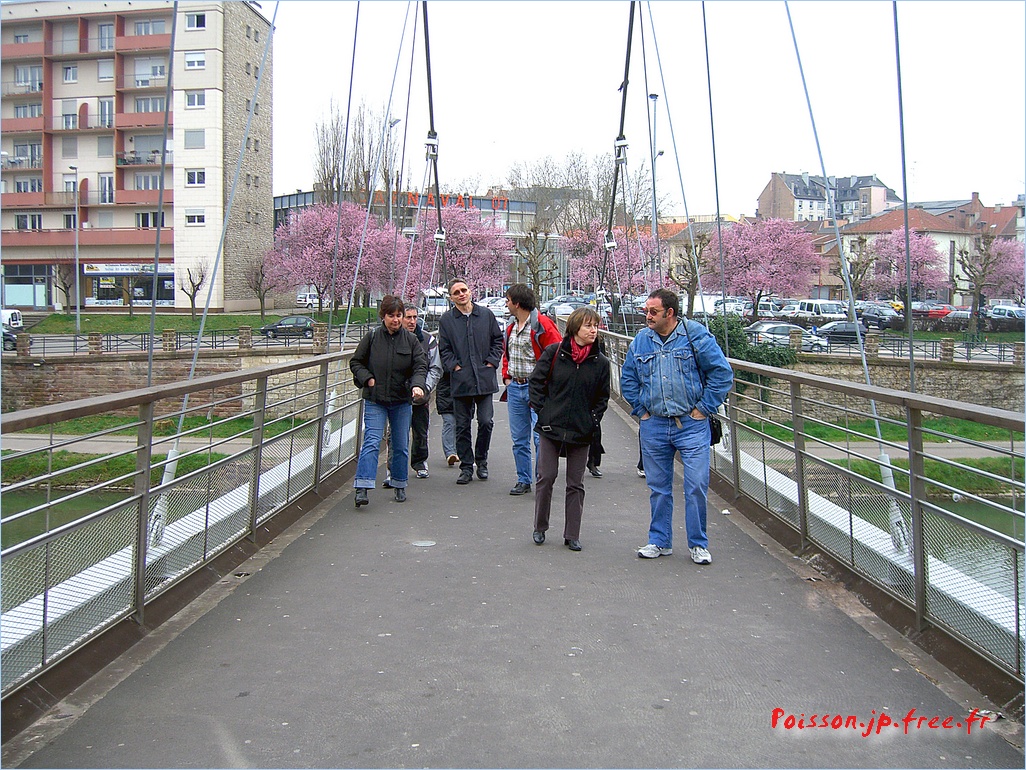 carnaval sarreguemine 006
